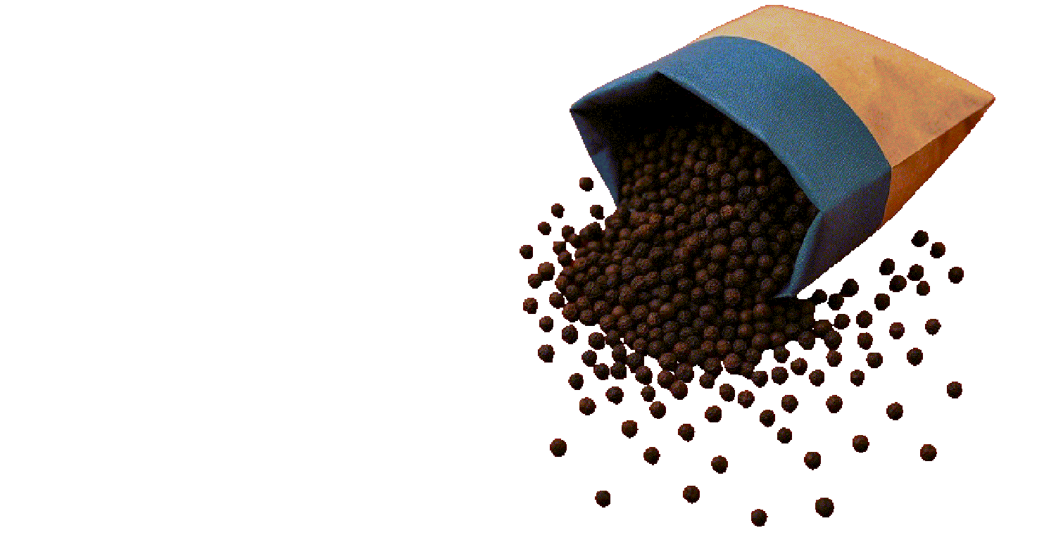 Untitled 6